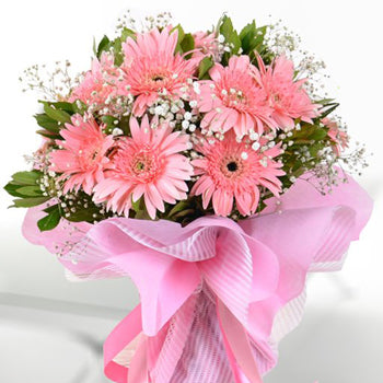 Pembe Sevda Aşkıma